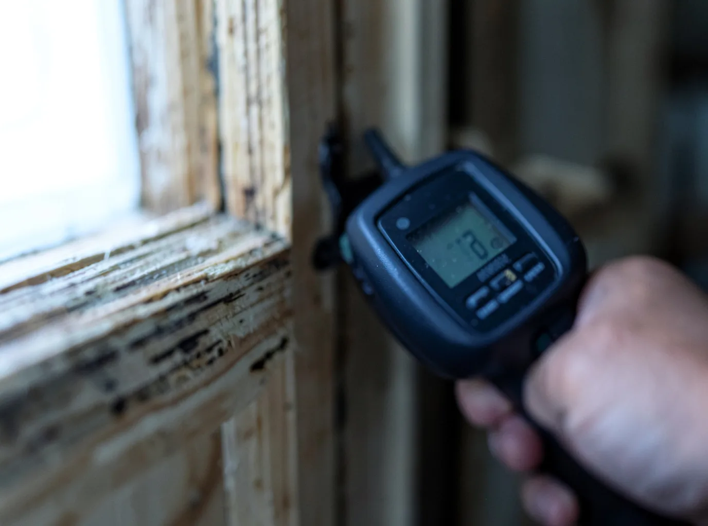 Moisture Inspection And Documentation in Sanbornton, NH